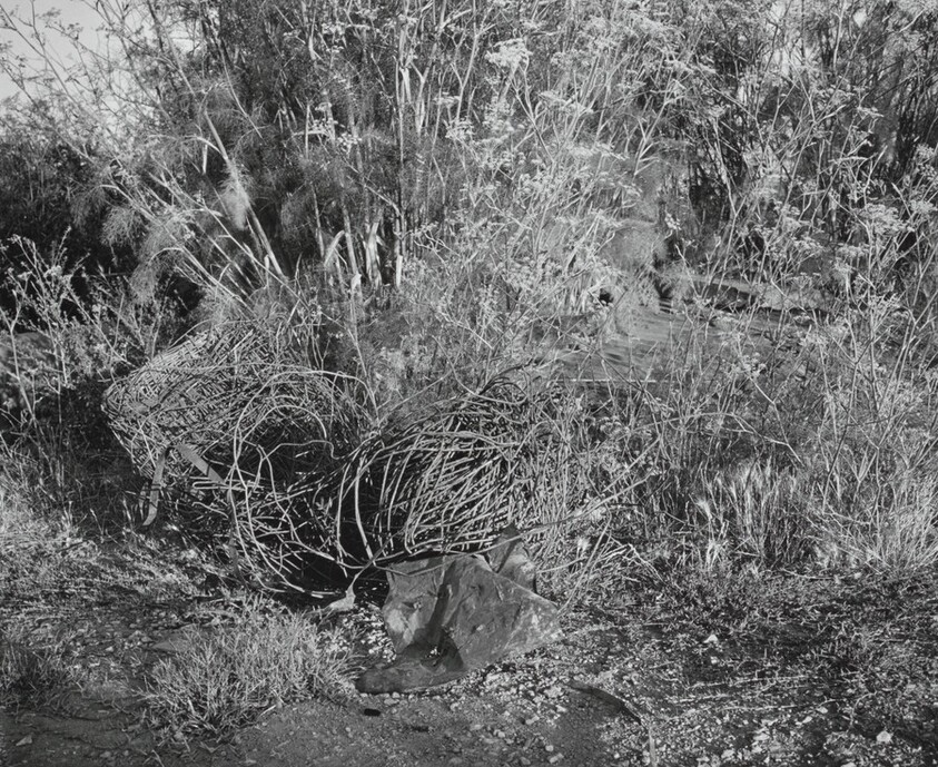 San Quentin Point, no. 7