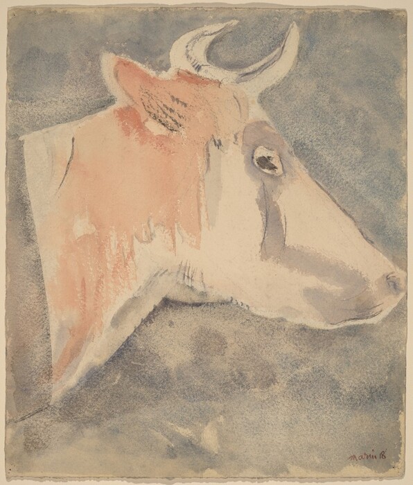 The image shows a watercolor painting of a cow's profile, facing to the right. It features the cow's head and part of the neck, emphasizing its facial features such as a large eye and horns. The cow's fur is depicted in shades of brown and cream, while the background has muted blue and gray tones. The artist's signature is at the bottom right corner.