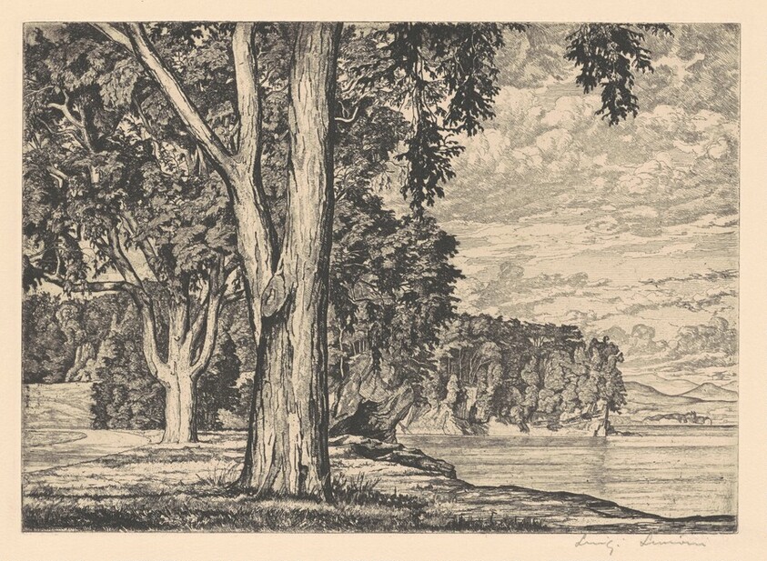 Elms by the Lake