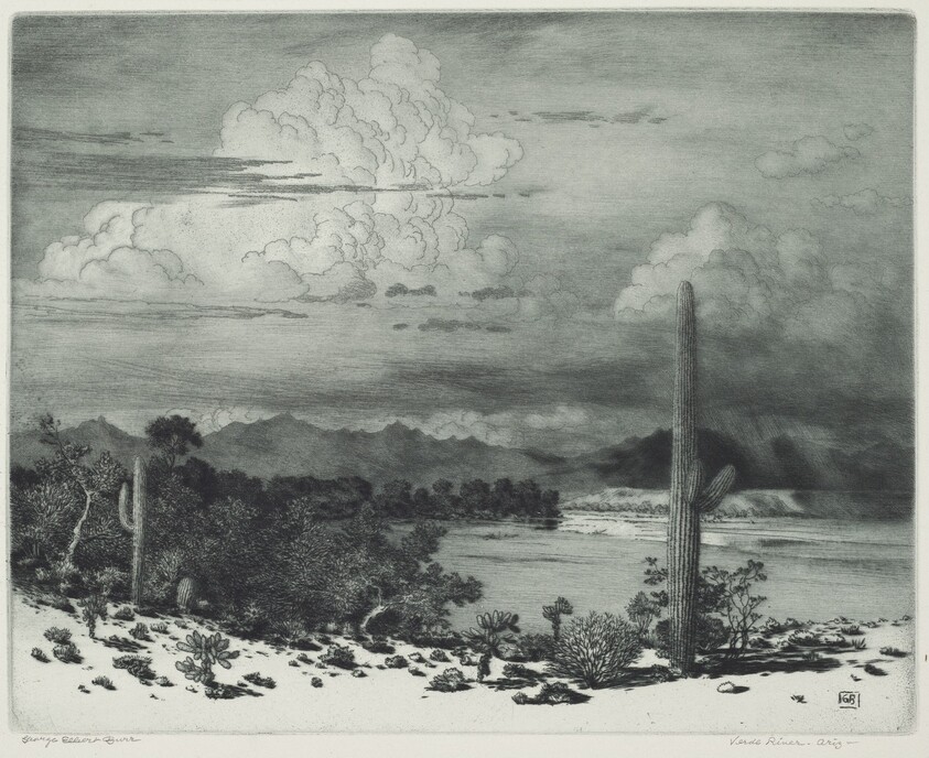 Verde River, Arizona