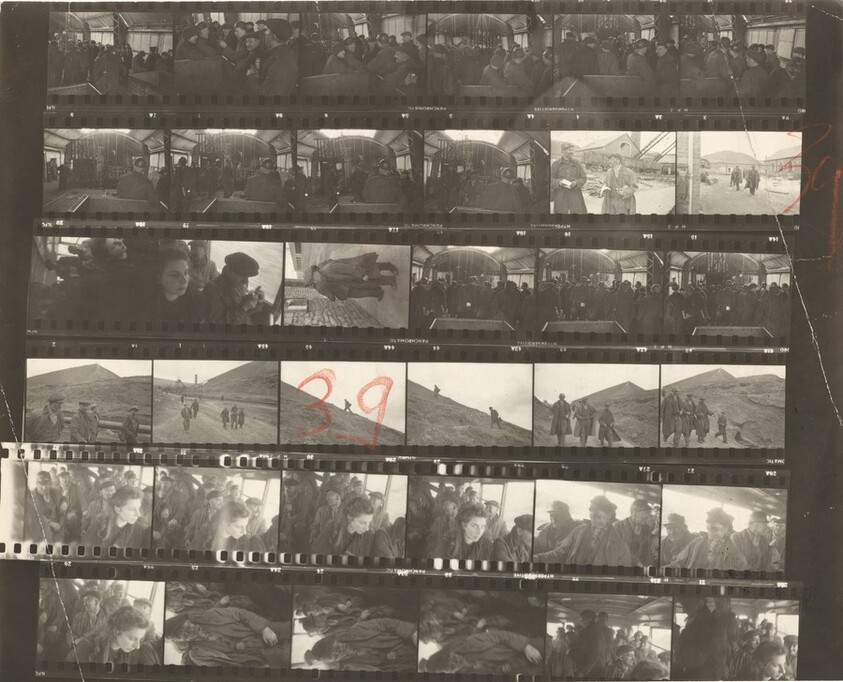 Wales 39/Lines of My Hand 41