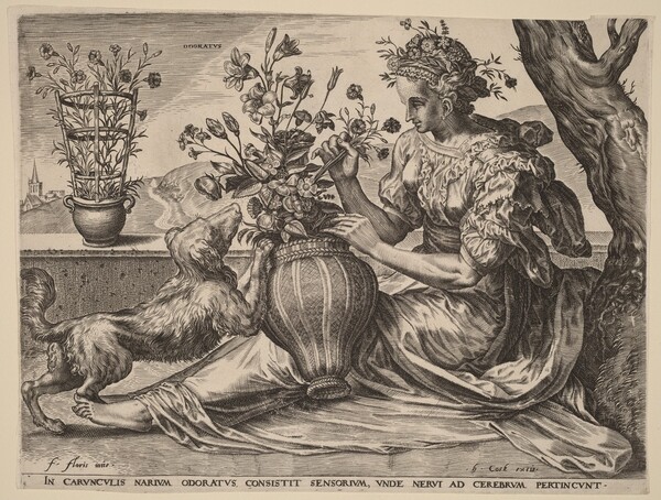 Odoratus (Smell)