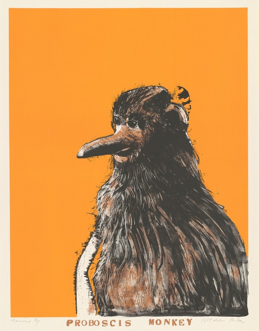 Proboscis Monkey