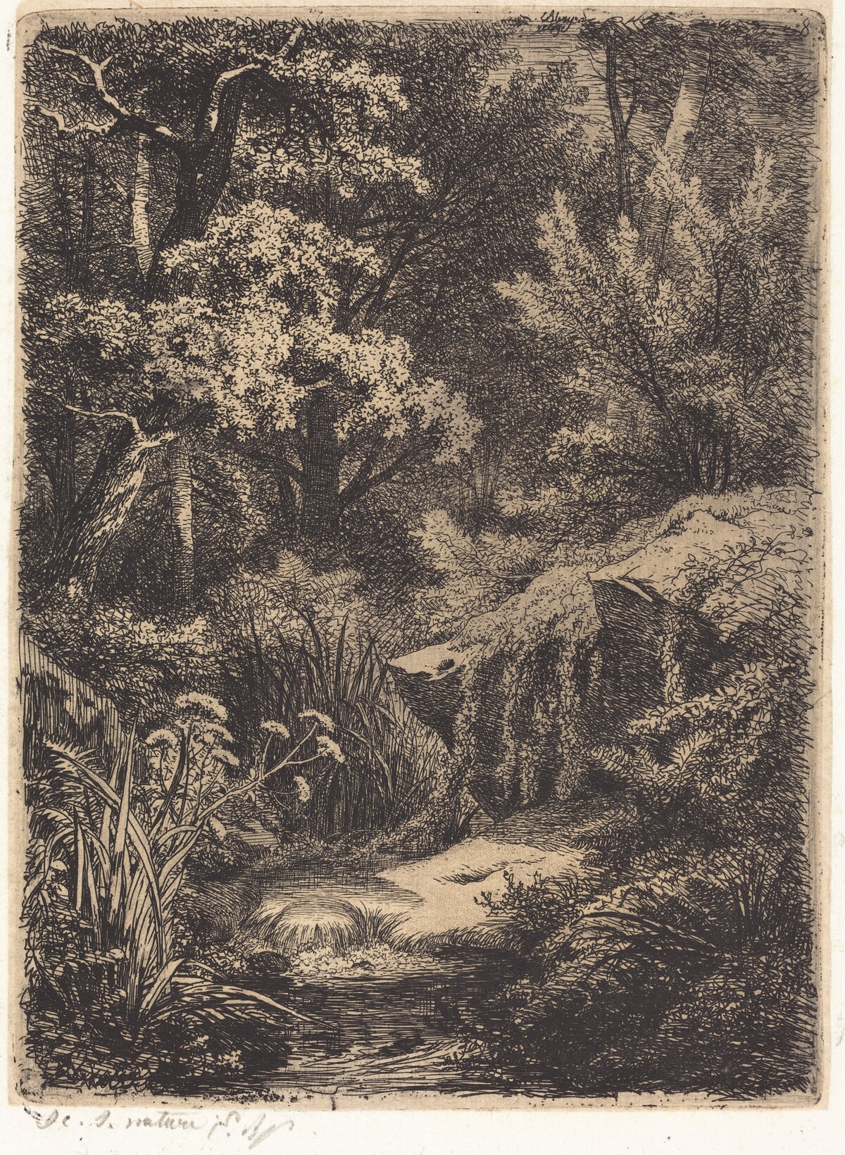 Le petit ruisseau (The Little Brook)