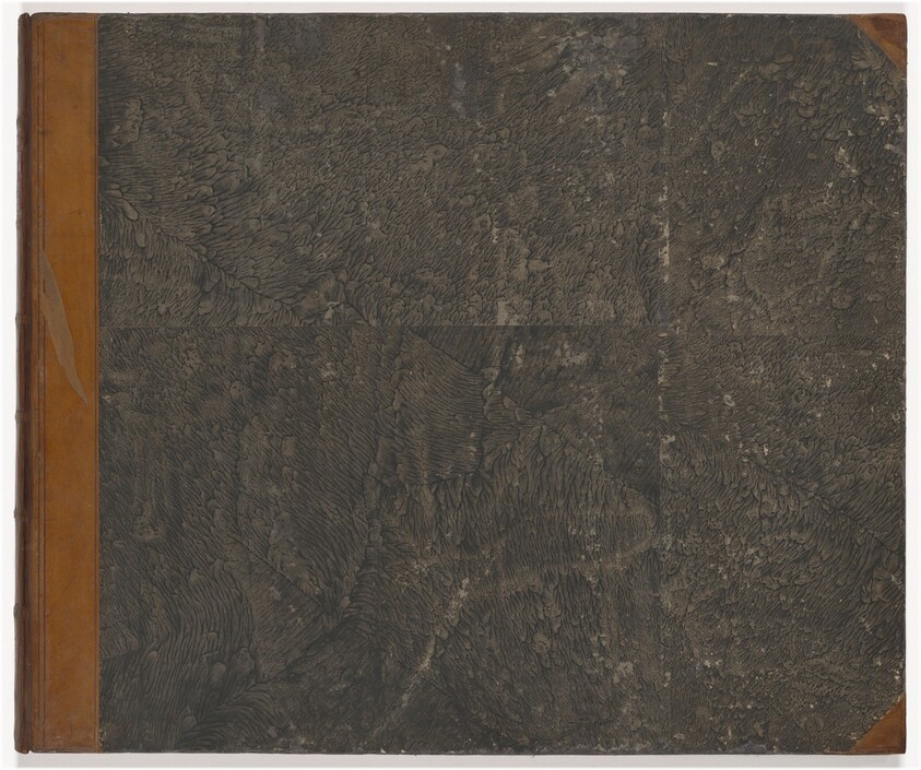 Vestigia della Terme di Tito e loro interne pitture