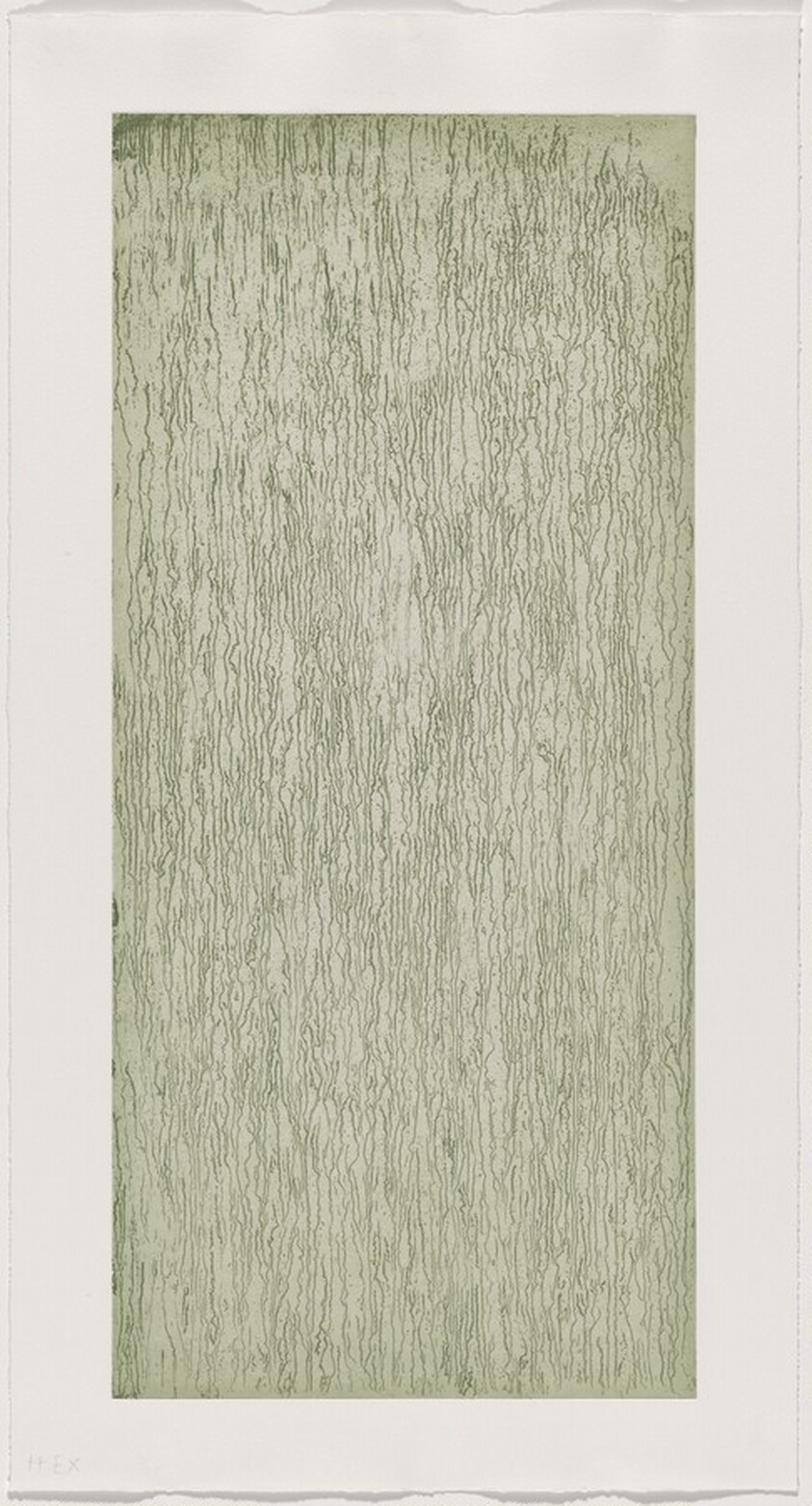 A Walk in the Woods [working proof 6 for Right Panel]