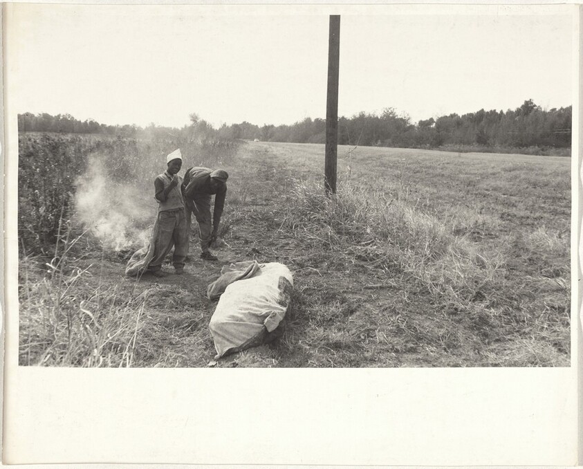 Cotton harvesters--Arkansas