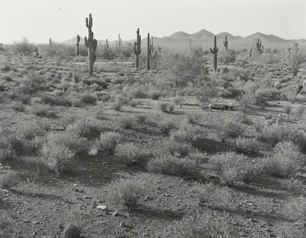 Maricopa County, Carefree Highway East of I-17, Looking Southeast to an Area to be Subdivided Within the Year