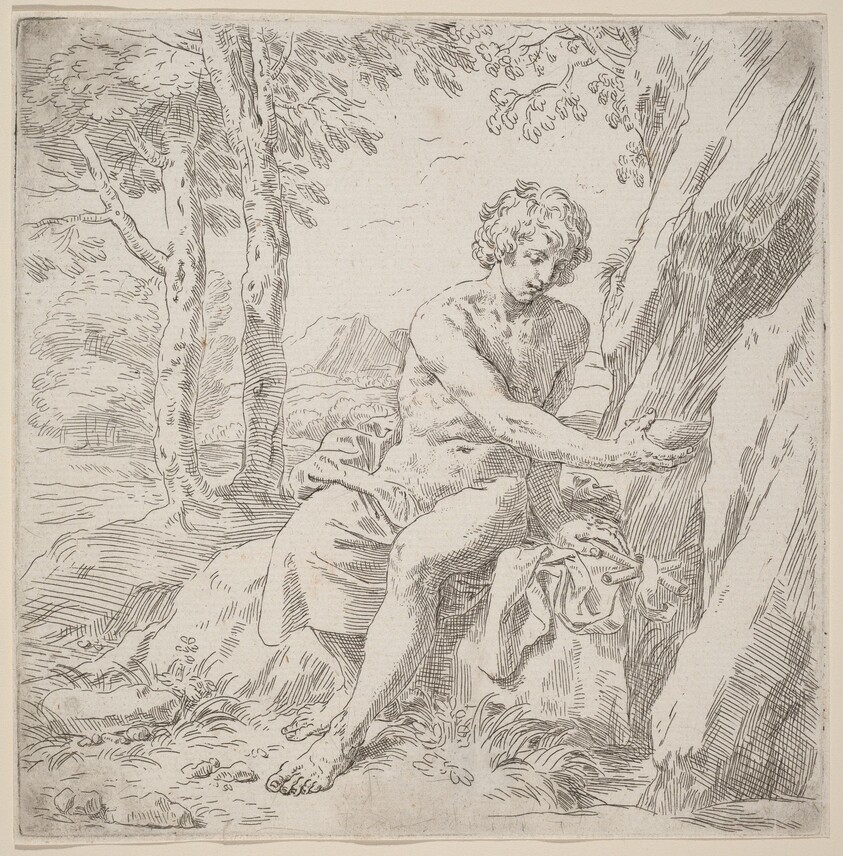 Saint John the Baptist in the Desert