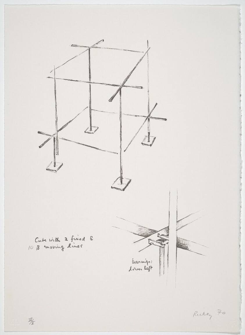 Cube with Two Fixed and Ten Moving Lines