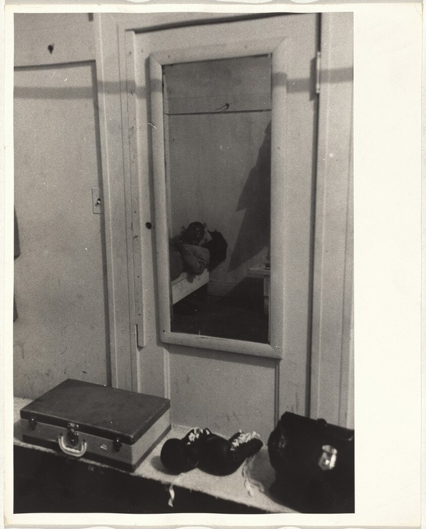 Boxer, Wintergarden--San Francisco