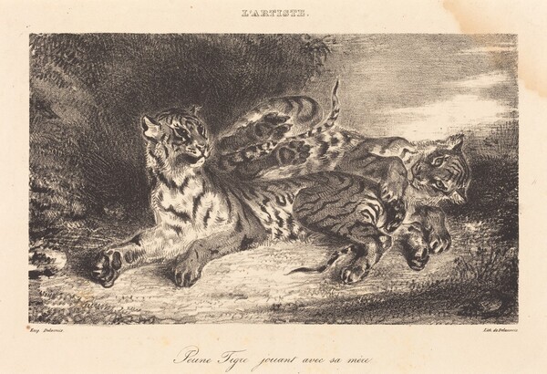 Young Tiger Playing with its Mother (Jeune tigre jouant avec sa mère)