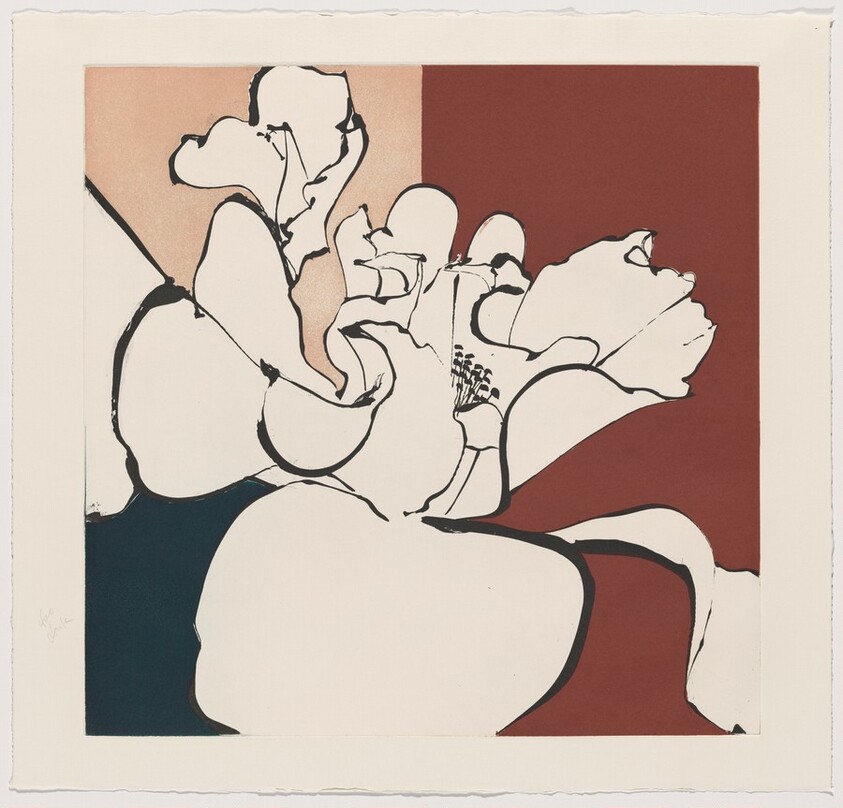 Camellia White [working proof 3]