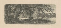 Water Elms, Carl C. Brenner, 1870s-1880s