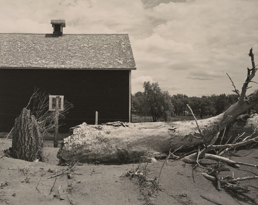 Fallen Tree in front of Barn