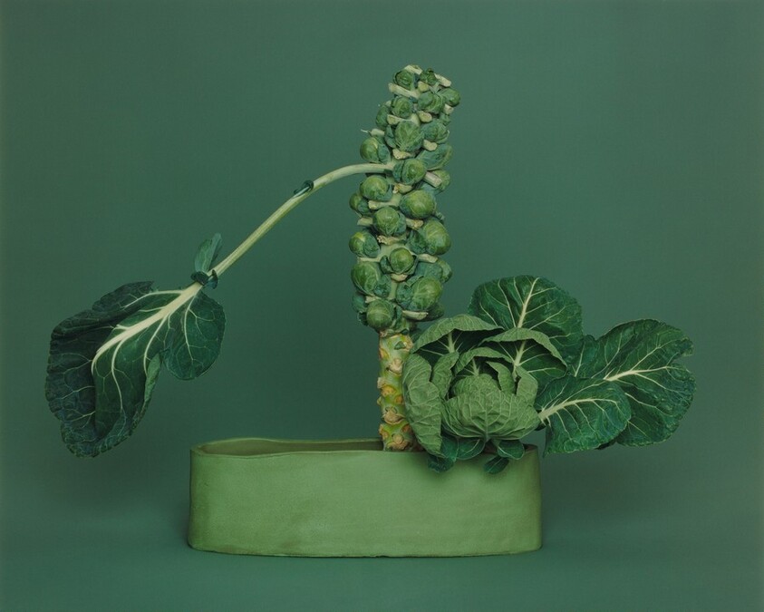 NÕ-no Ikebana, arranged by Haruko Takeichi, December 1, 2002 (December 2-3)