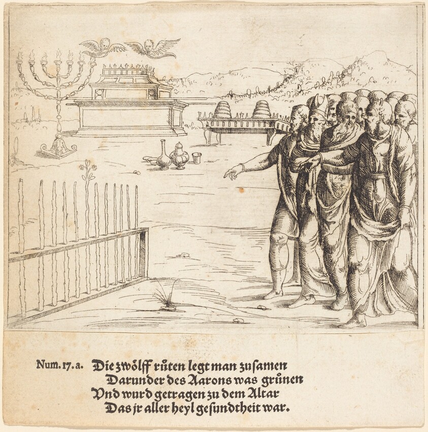 The Blossoming of Aaron's Rod