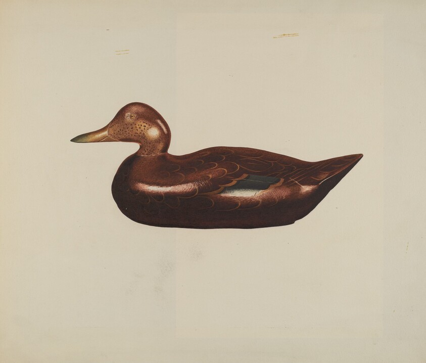 Wooden Duck