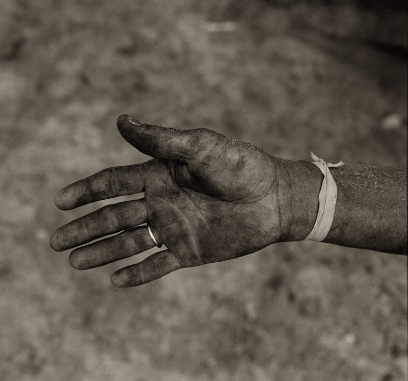 The "Hope" Grasshopper. Dona Antônia's Wish-Ribbon Bracelet. Five Centuries Work the Land at Black River.