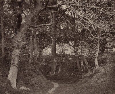 Glen Kenilworth