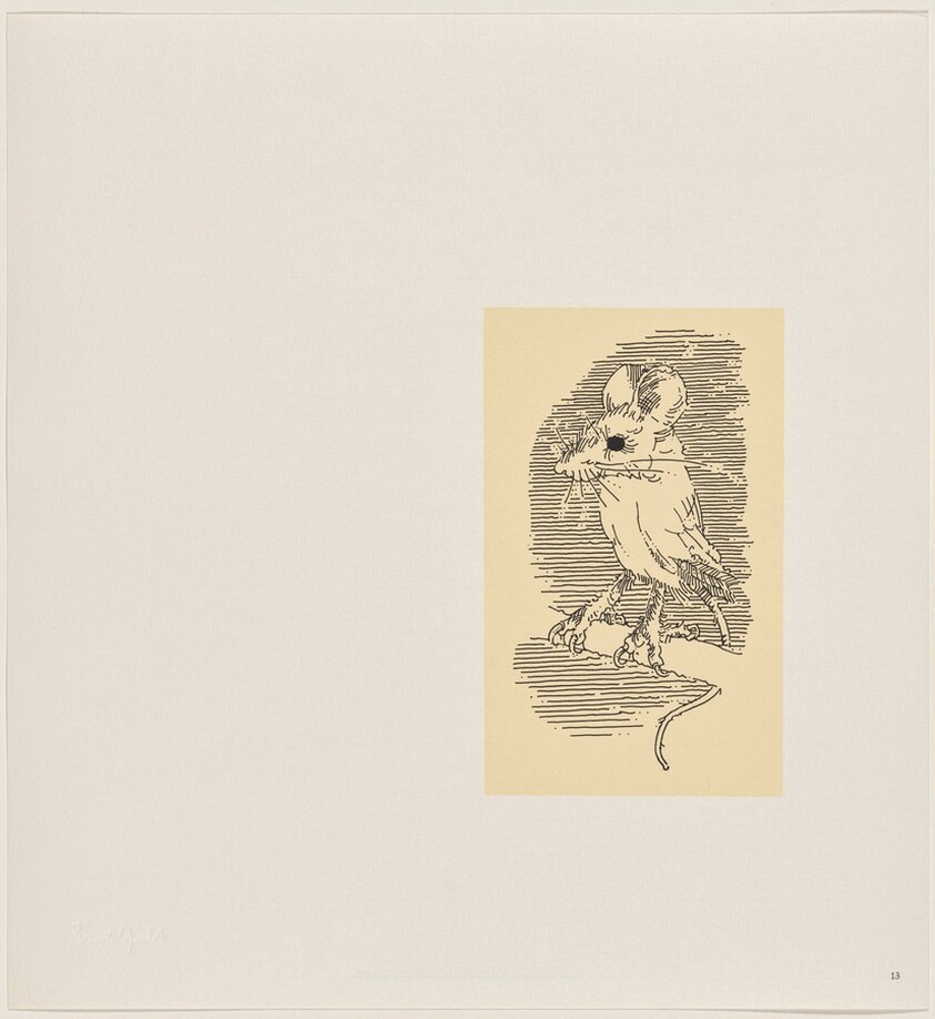 Owl Feathers: page 13