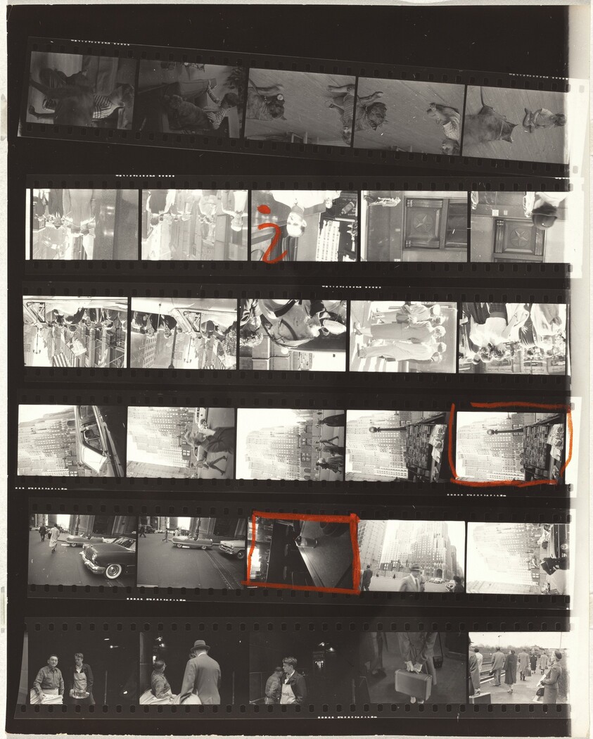 Guggenheim 116/Americans 27--New York City