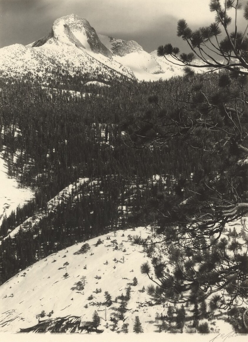 Mount Galen Clark, Yosemite Park