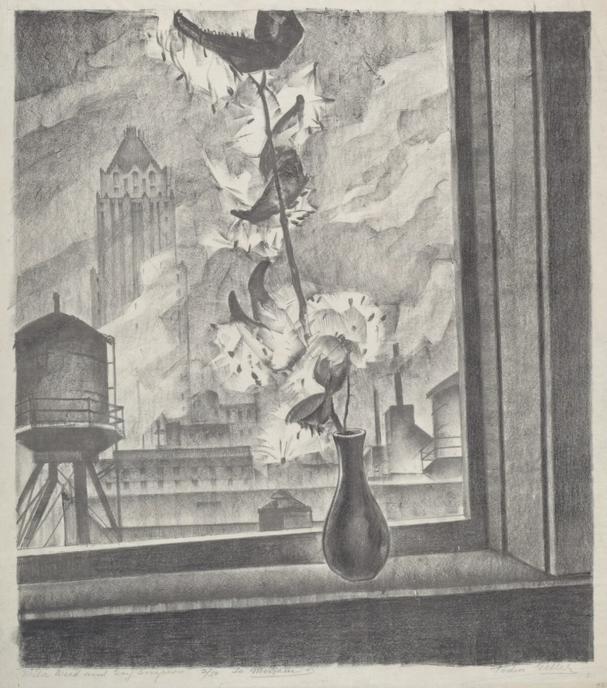 Milkweed and Skyscrapers
