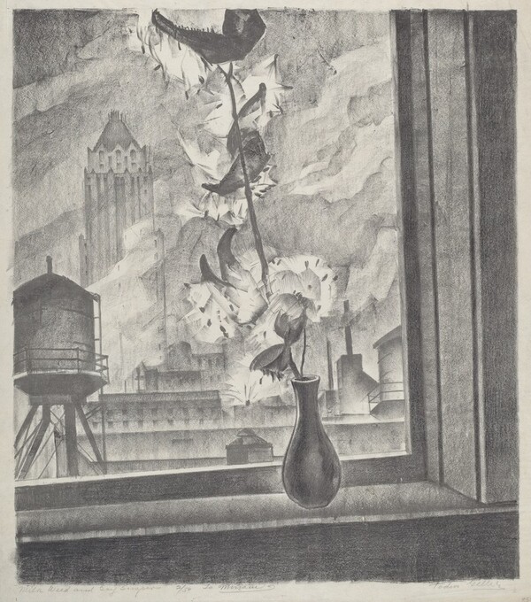 Milkweed and Skyscrapers