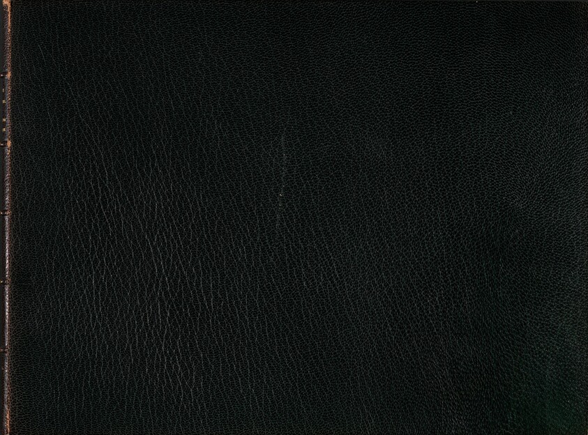 Archetypa studiaque patris Georgii Hoefnagelii