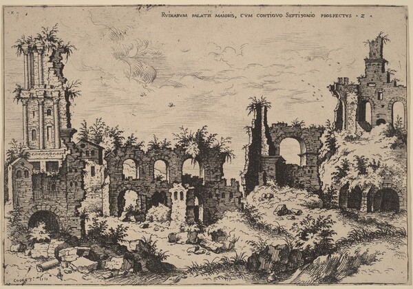Ruins on the Palatine with the Septizonium