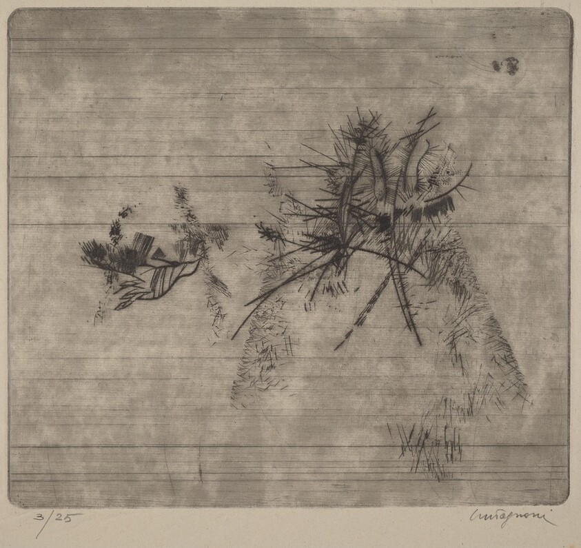 Natura morta (Still Life)