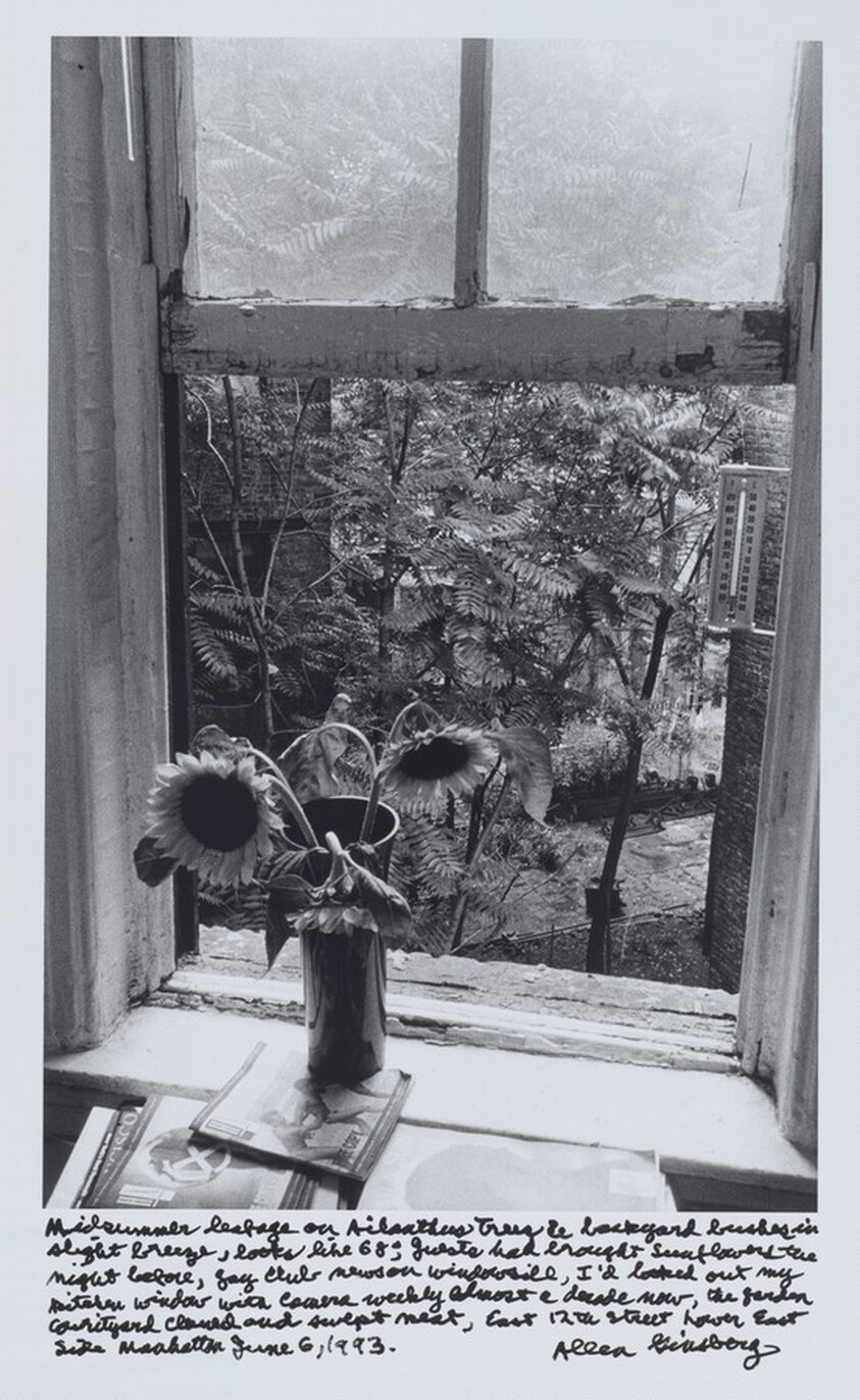 Midsummer leafage on Ailanthus Trees & backyard bushes in slight breeze, looks like 68°, guests had brought sunflowers the night before, gay club news on windowsill, I’d looked out my kitchen window with camera weekly almost a decade now, the garden courtyard cleaned and swept neat, East 12th street lower East Side Manhattan June 6, 1993.