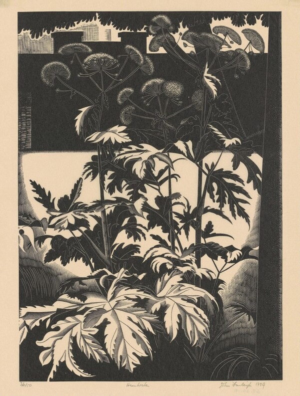 Hemlock