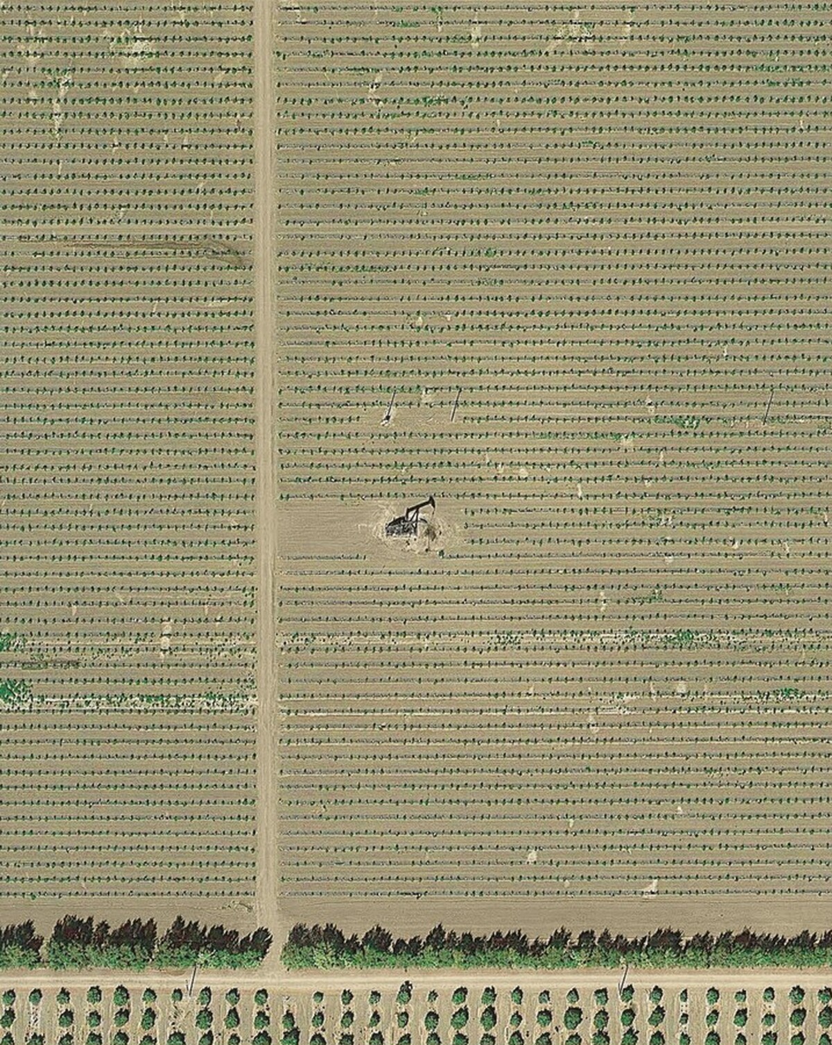 API 02906563 Edison, CA