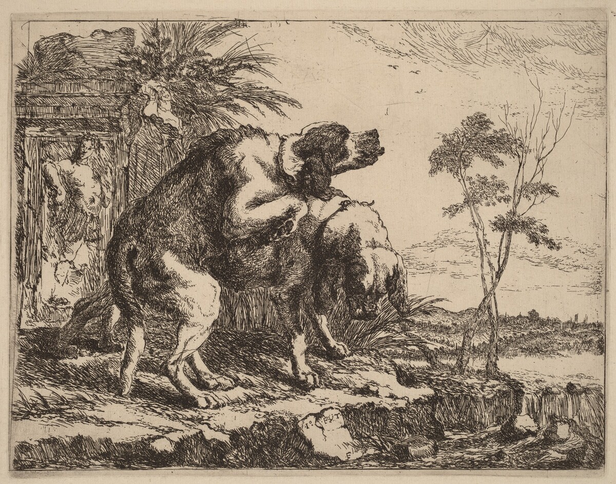 Two Dogs Copulating