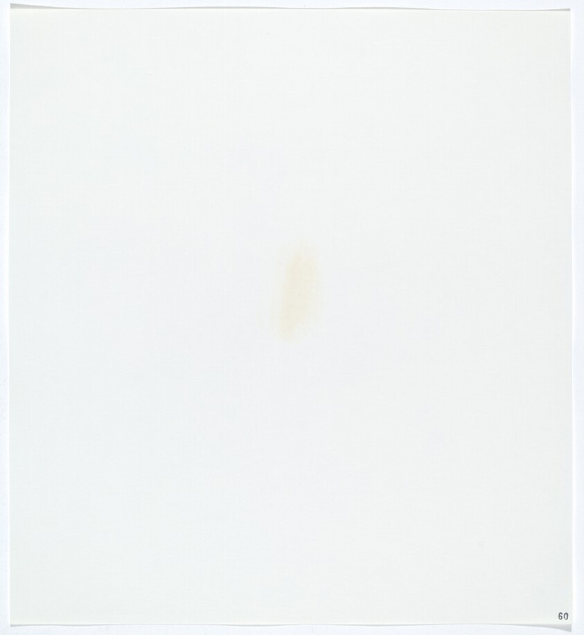 Stains: Pepper (Yellow)