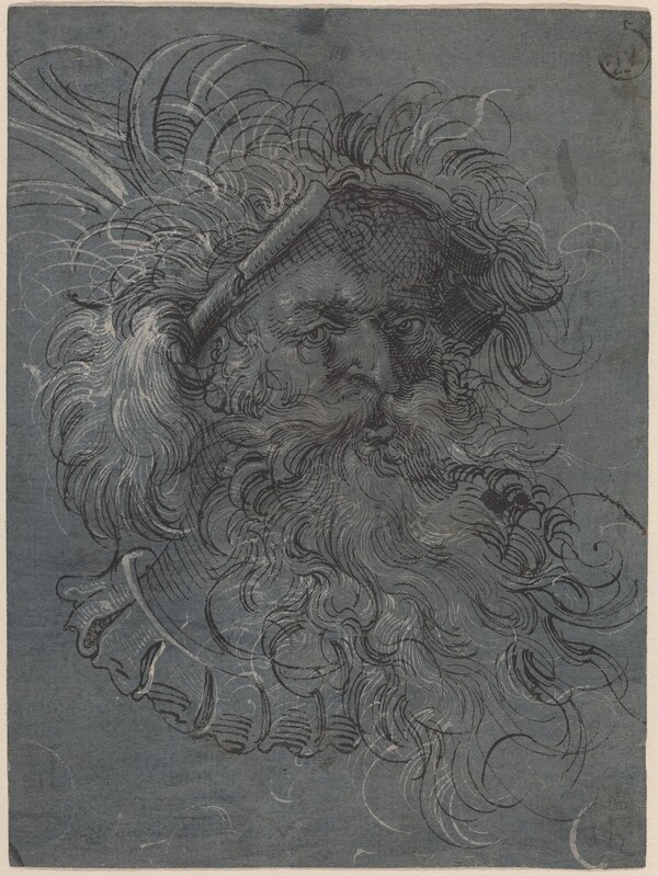 Head of a Bearded Man