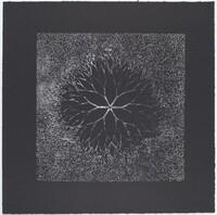 Desert Flower, Ruth Asawa, 1965