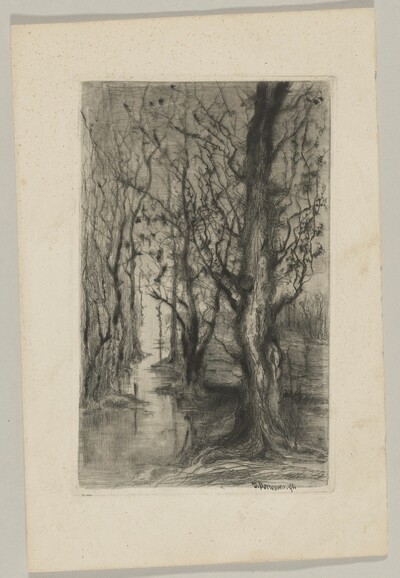 Woodland with a Stream Running Through