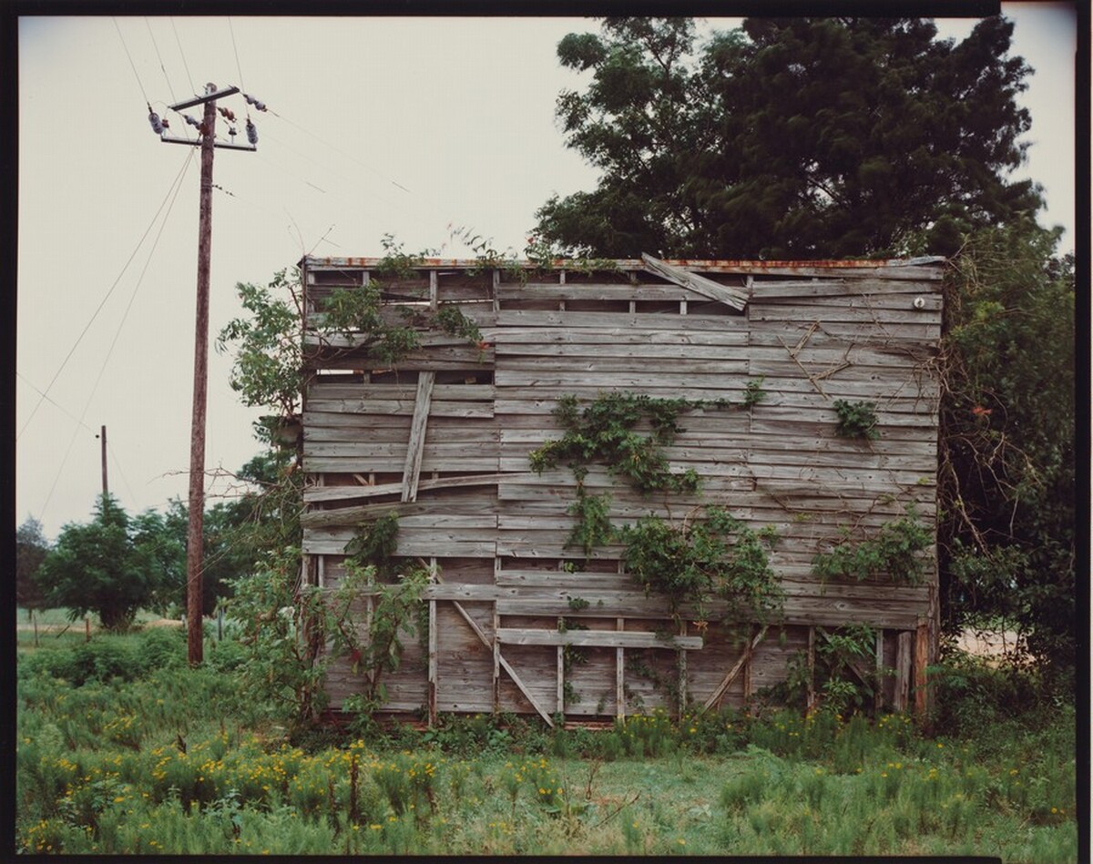 South End of Palmist Building--Havana, Alabama