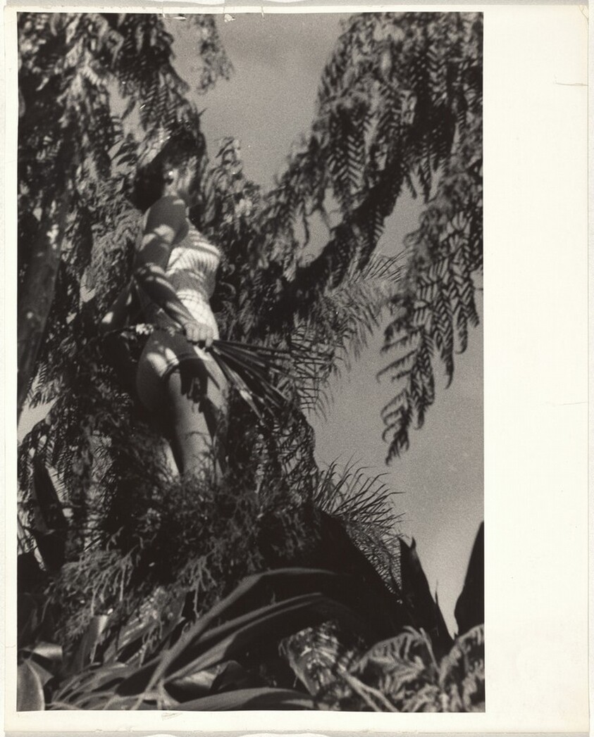 Float, Rose Bowl Parade--Pasadena, California