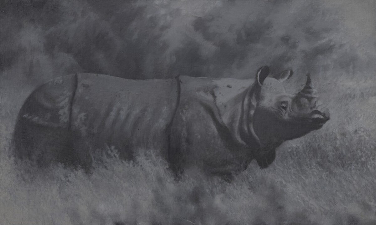 Rhinoceros