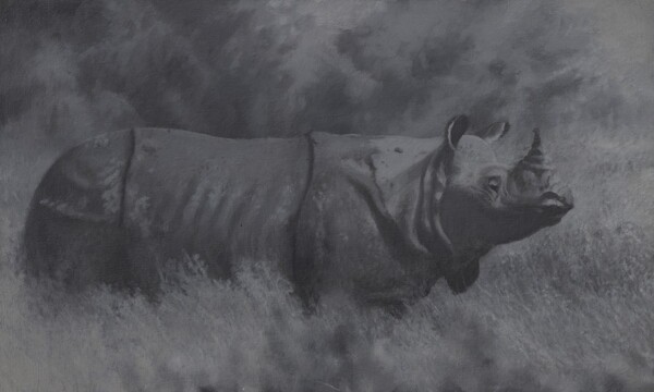 Rhinoceros