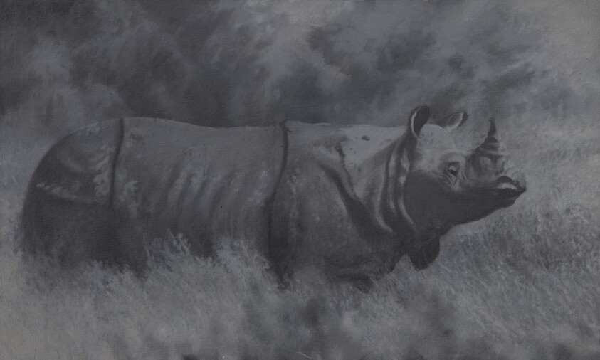 Rhinoceros