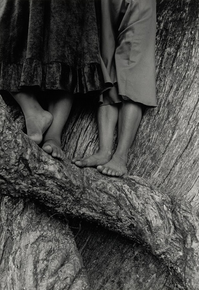 La ascensión, Chalma, México (The Ascension, Chalma, Mexico)

