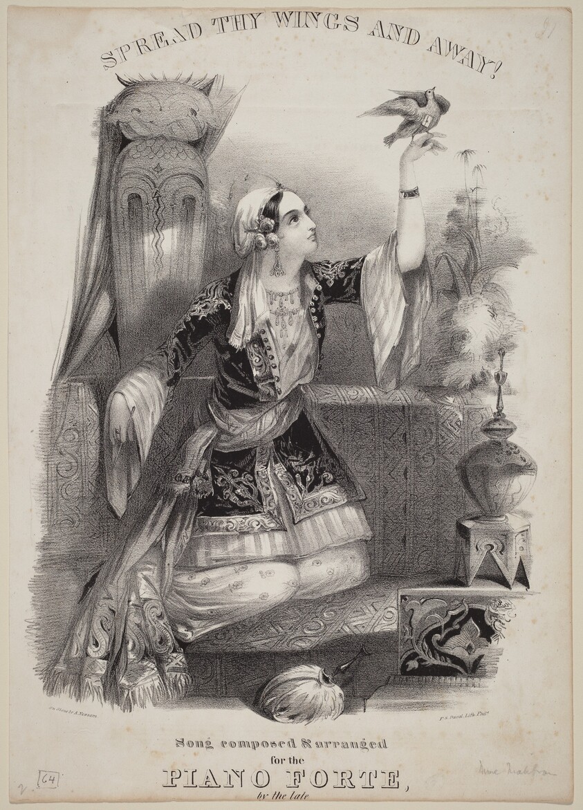 Spread Thy Wings and Away!