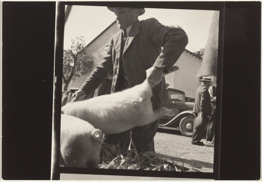 Market outside Zurich--Farming