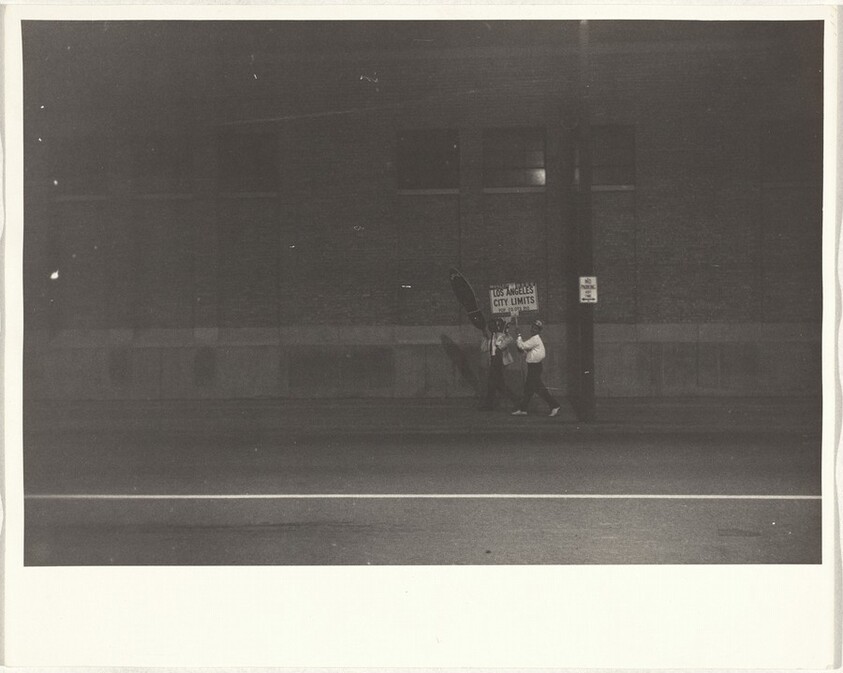 Delegates, convention--Chicago