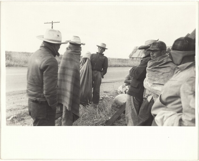 Cotton harvesters by side of road--Arkansas